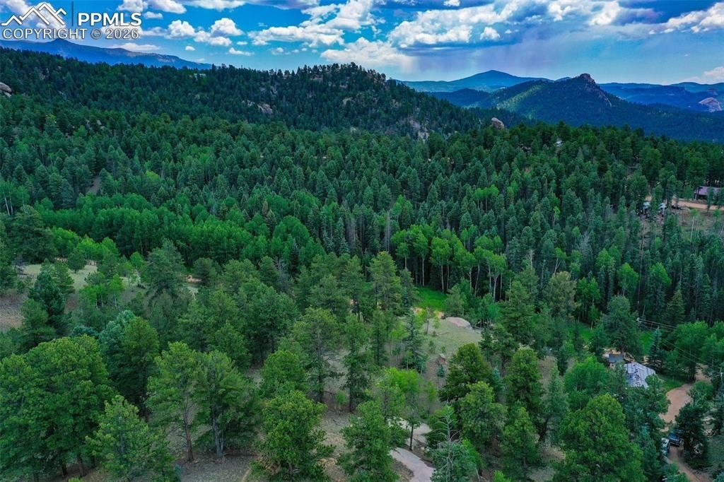 Wooded Lot in Mountain Neighborhood