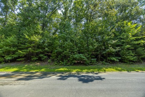 Land, Dandridge, TN