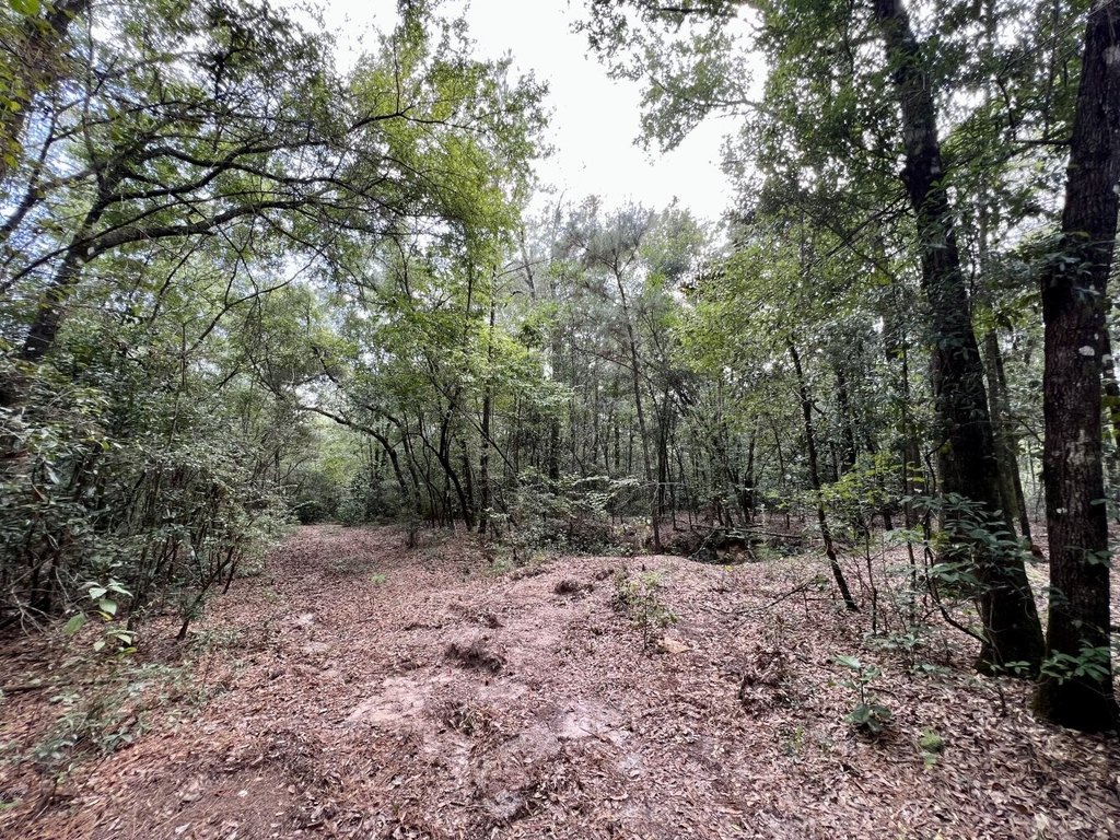 Picture 28