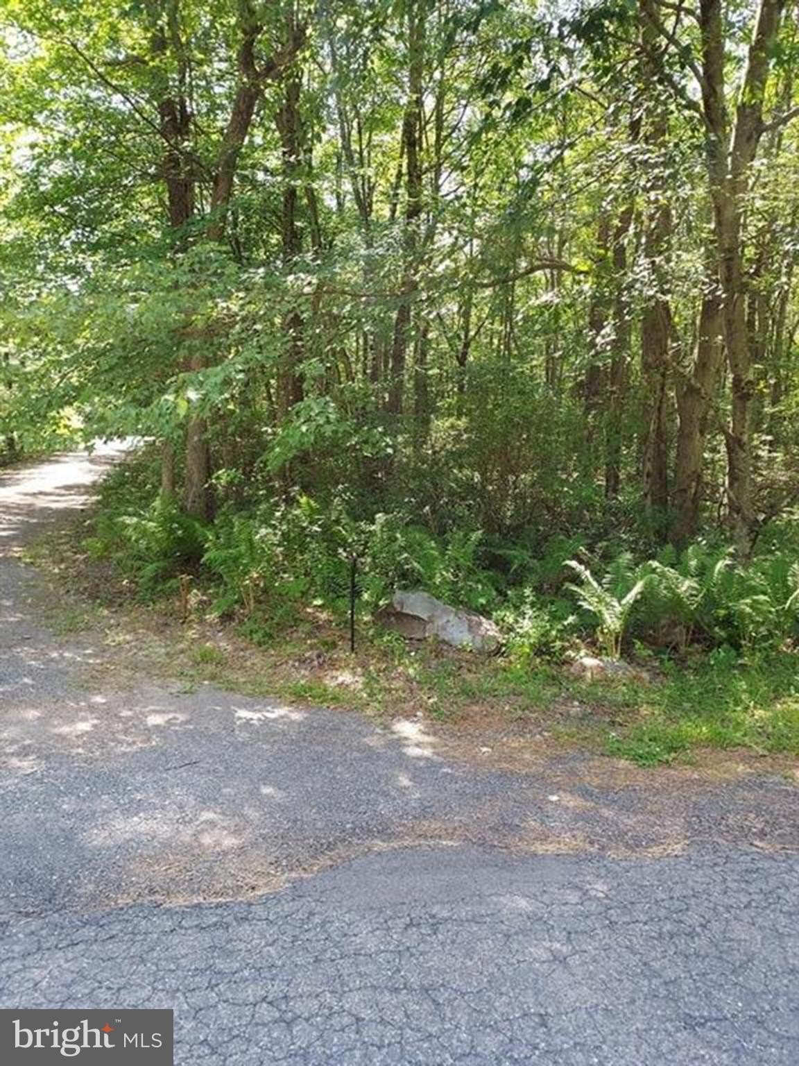 Two Wooded Lots in Jim Thorpe
