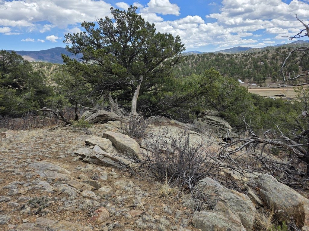 Picture 14