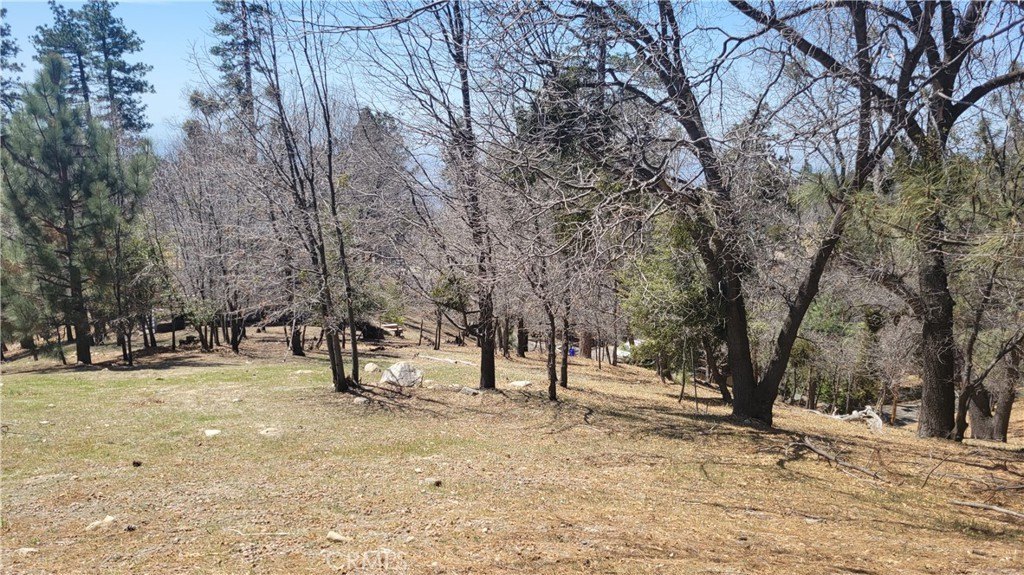 Picture 4