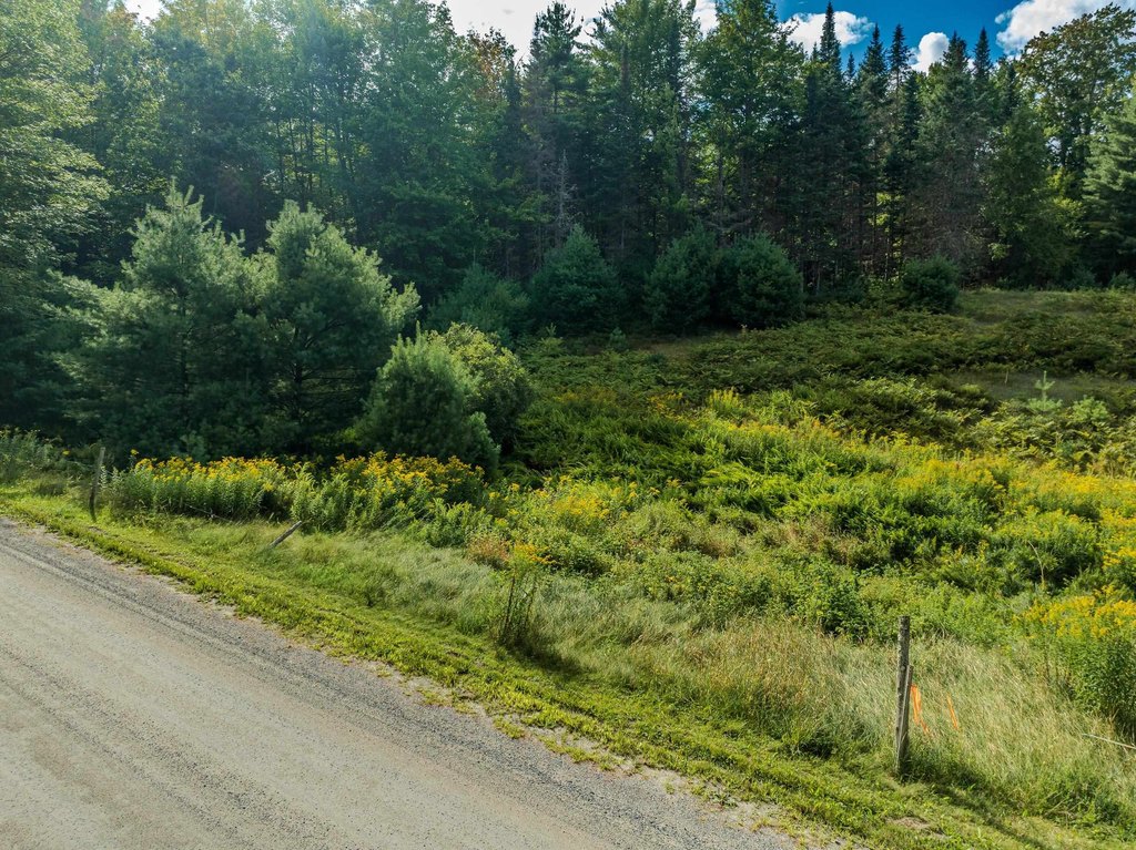 Picture 20