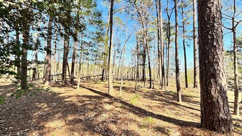 Waterfront Land on Sam Rayburn