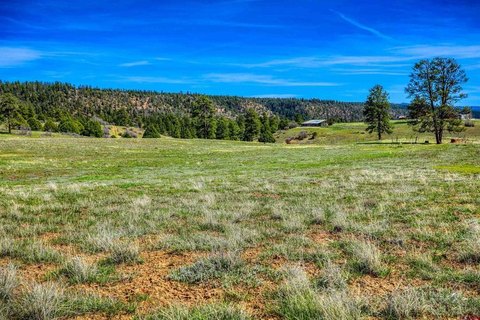 LAND, Pagosa Springs, CO