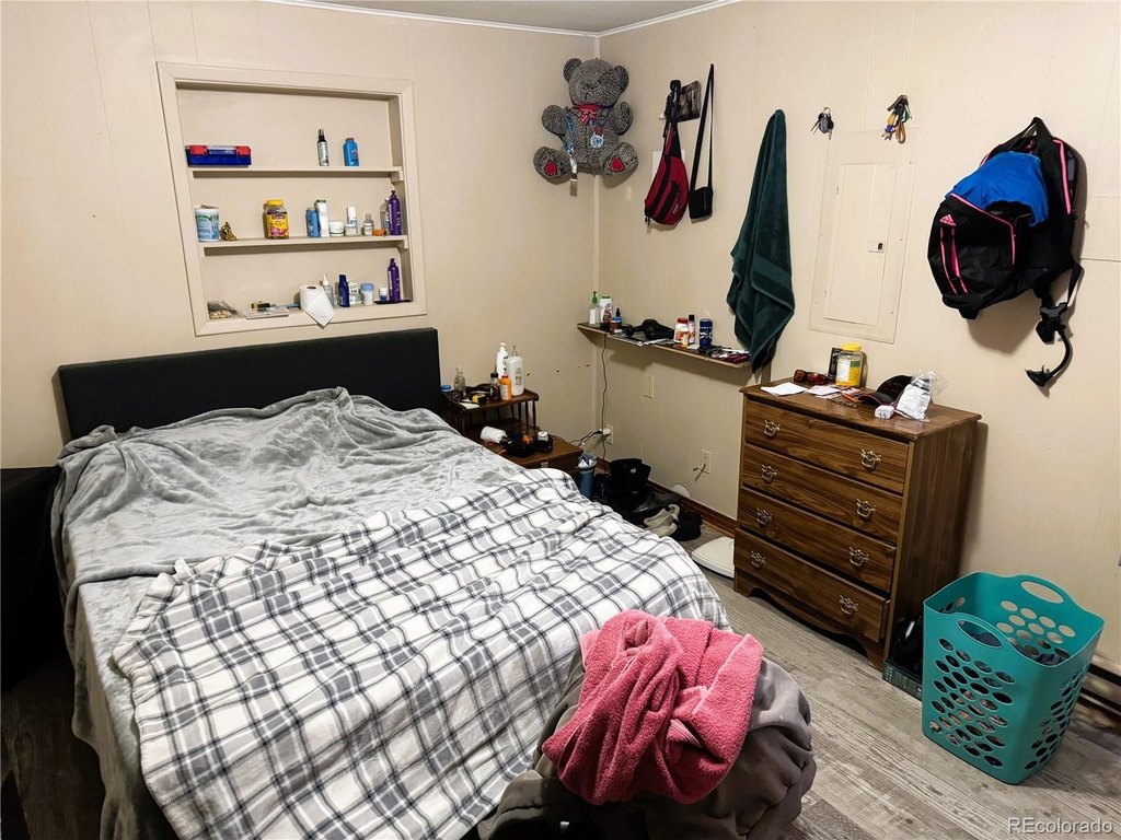 Picture 23