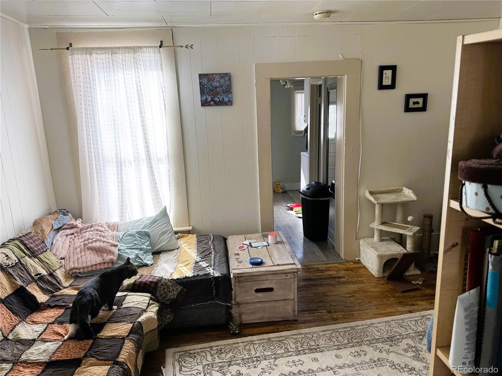 Picture 27