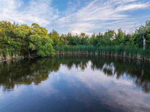 Wooded Pondside Hunting Tract