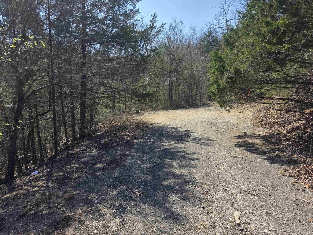 Picture 6
