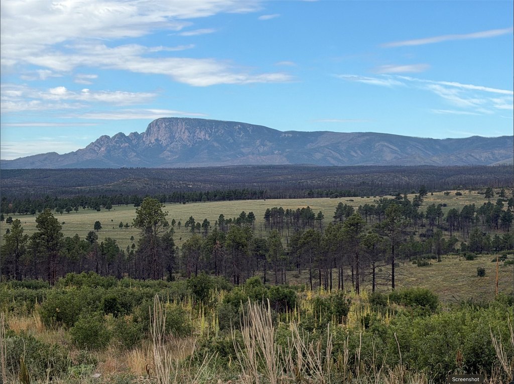 696 Nm Hwy 94, Rociada, NM 87742
