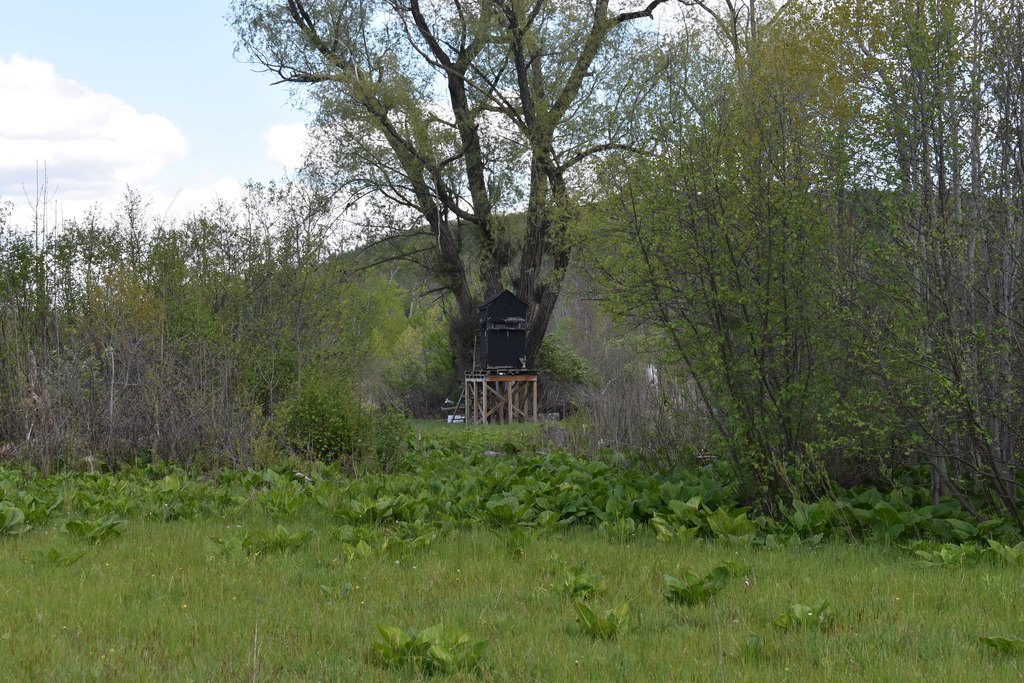 Picture 16
