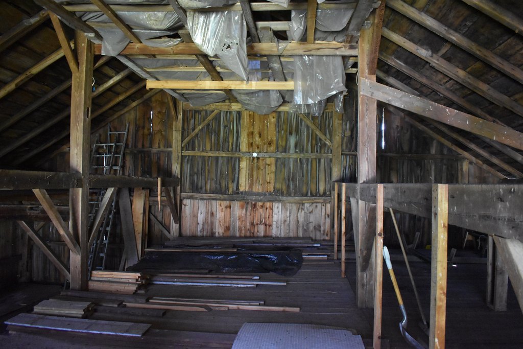 Picture 11
