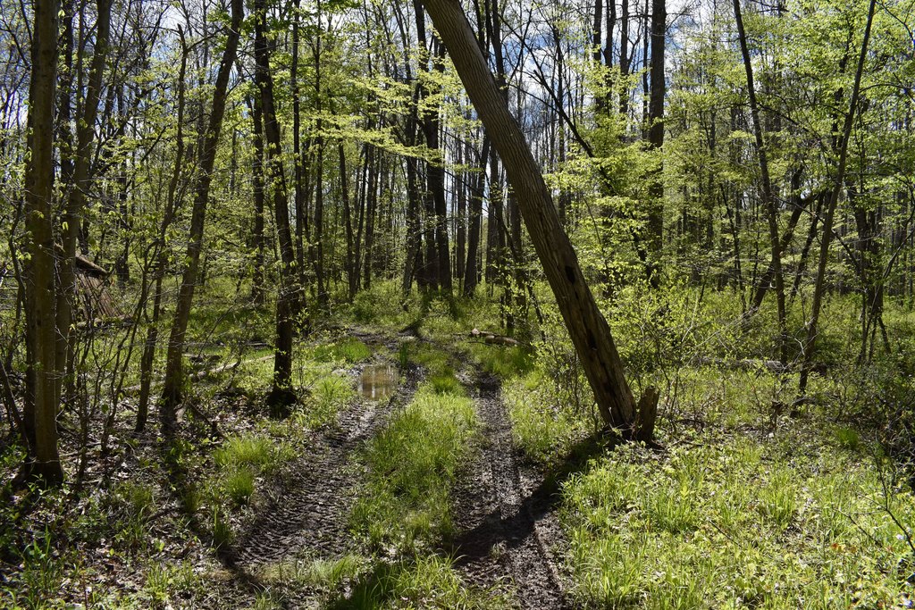Picture 30