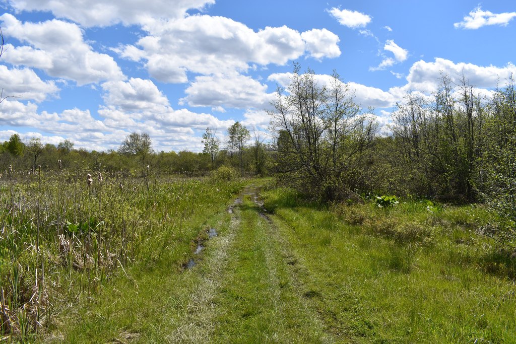 Picture 28