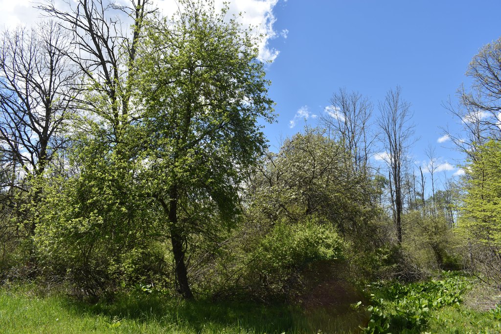 Picture 18