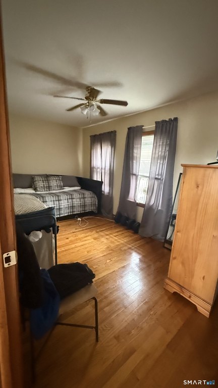 Picture 31
