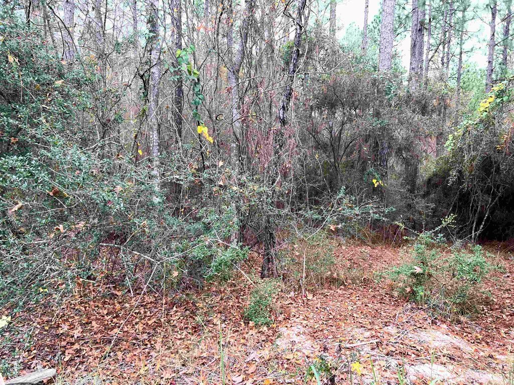 Picture 4
