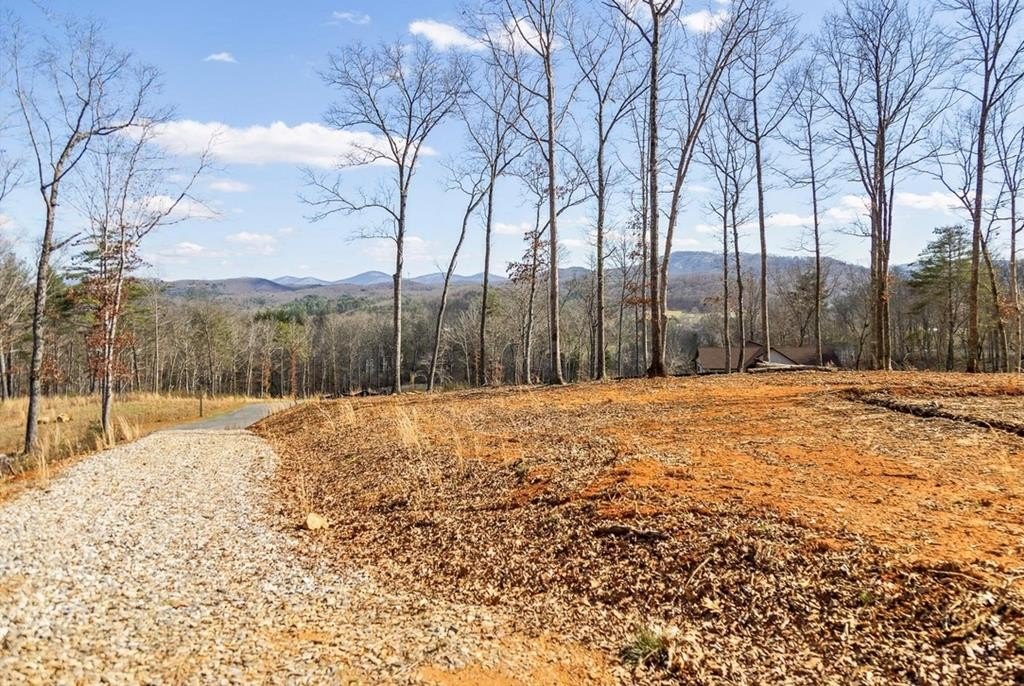 View Lot in Gated Community