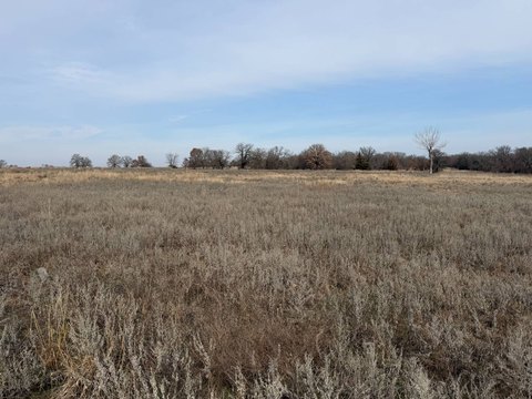 Rural Acreage with Home Potential