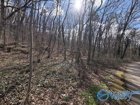 Fort Payne Building Lots