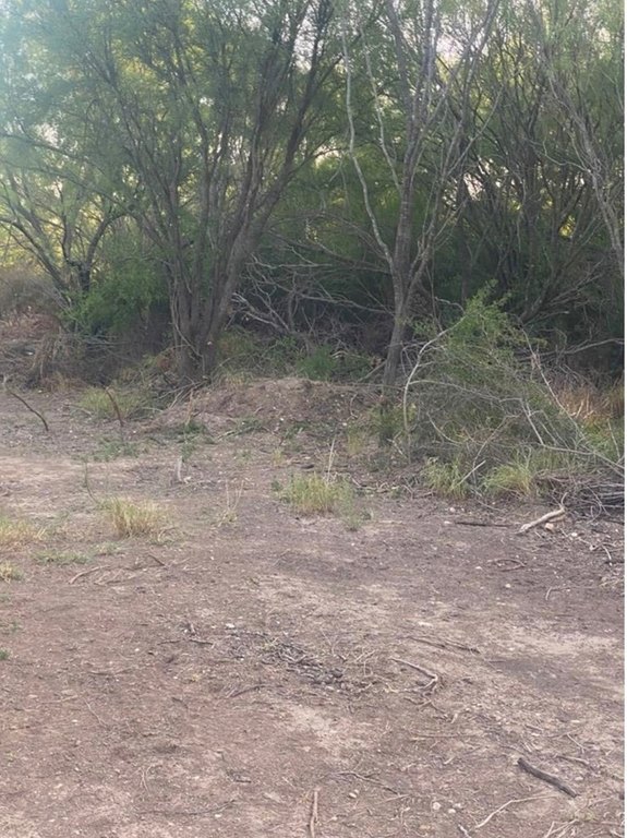 Picture 3