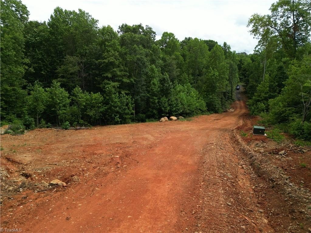Picture 6