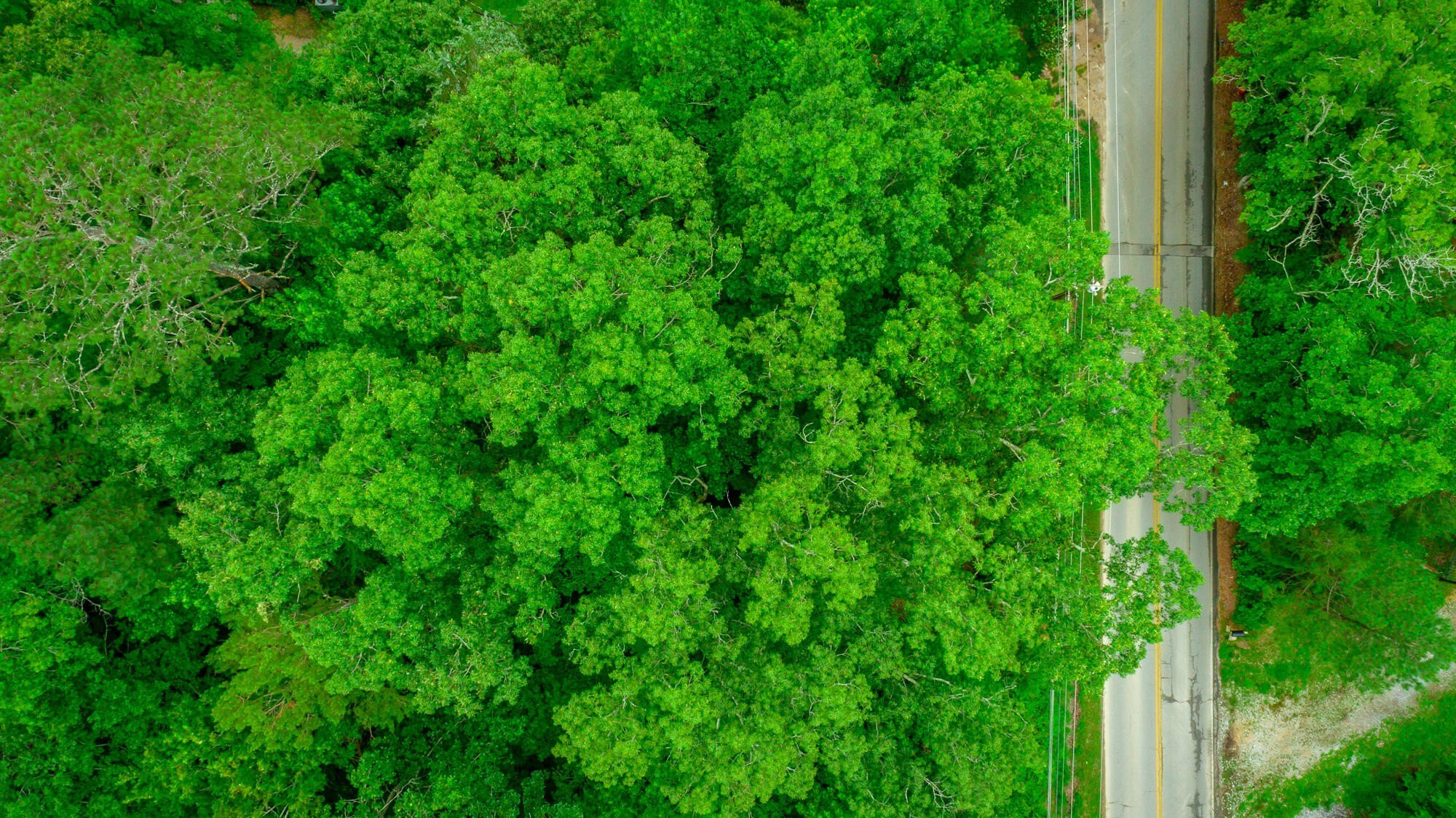 Ready-to-Build Lot in Harrison, TN