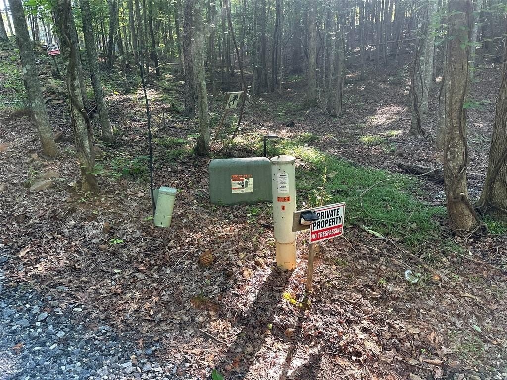 Picture 5