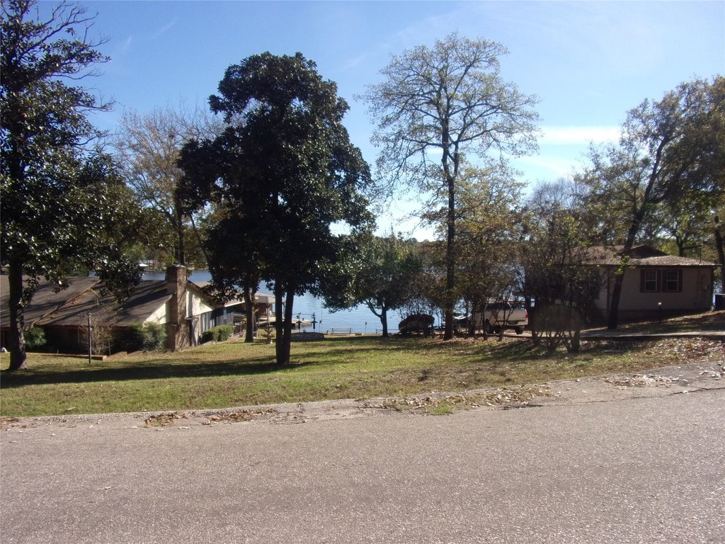 Picture 5