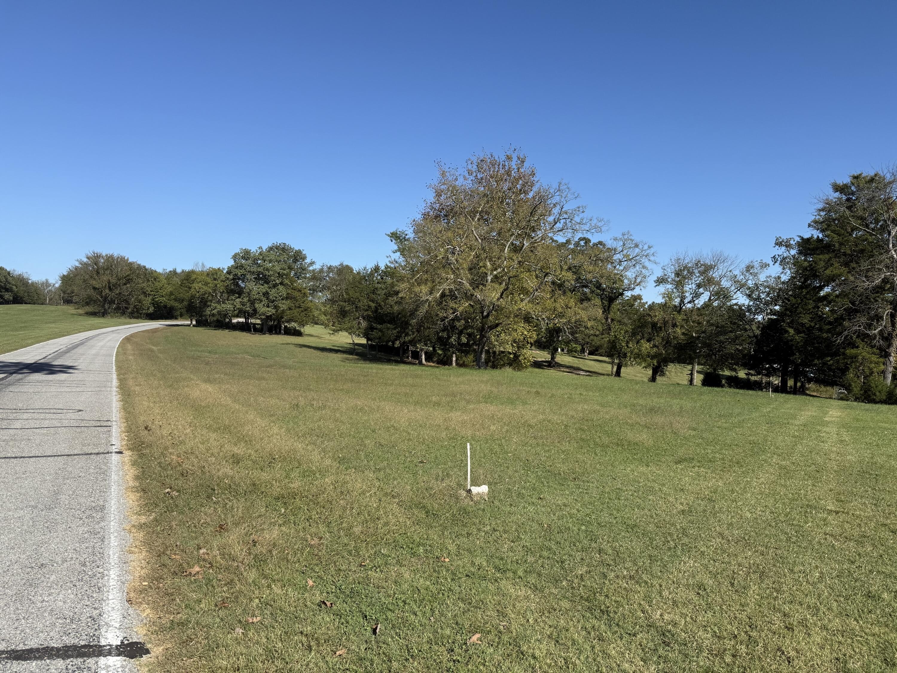 Cleared Land Near Kings River