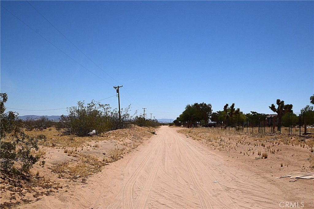Picture 8