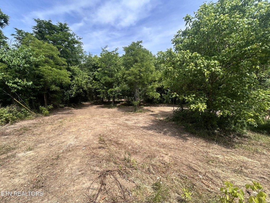 Picture 8