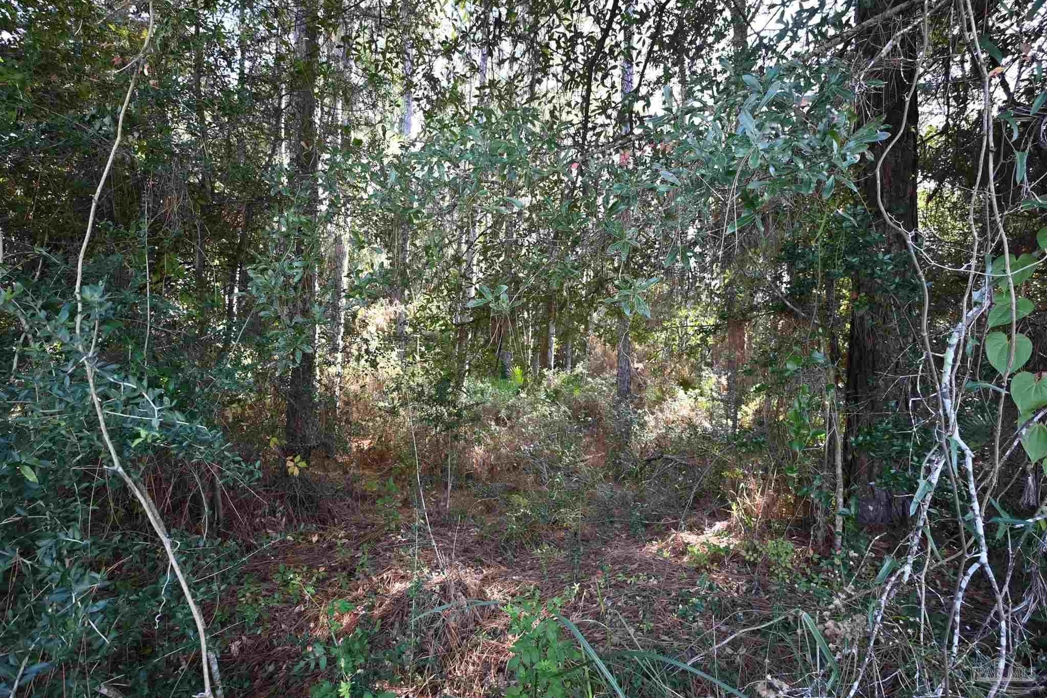 Waterview Homesite in Milton, Florida