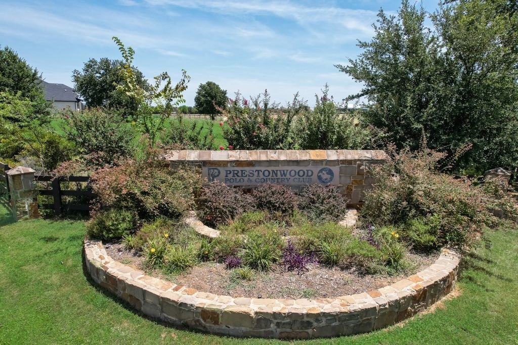 Picture 27