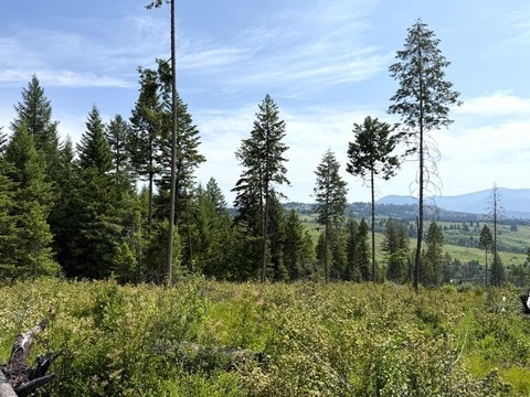 20 Acres of Varied Terrain