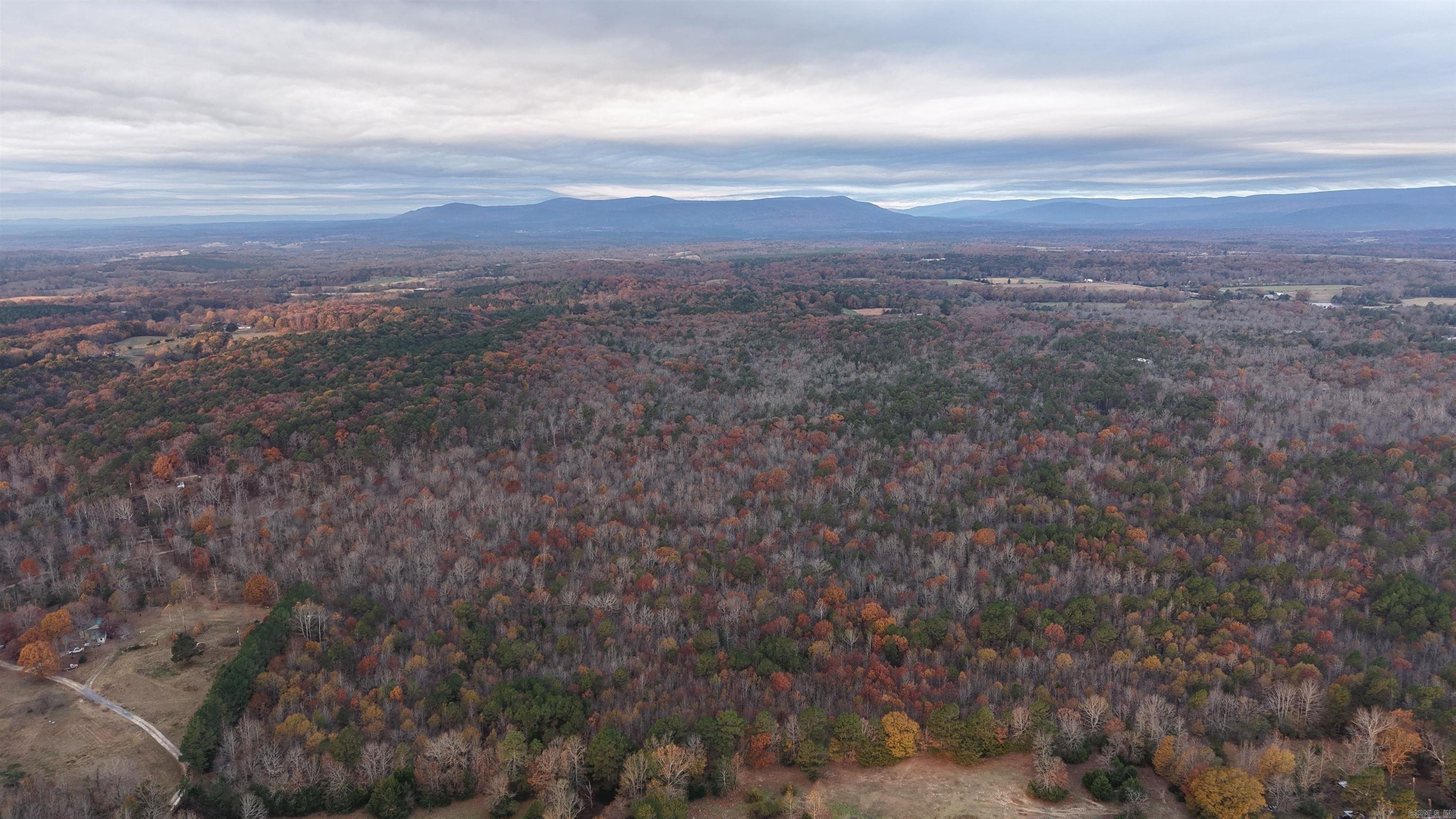 Secluded Timberland Near Downtown Mena