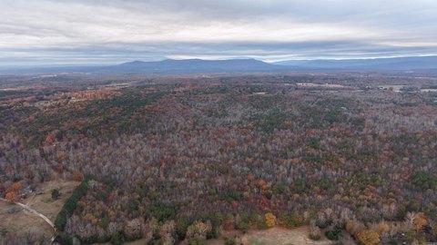Secluded Timberland Near Downtown Mena