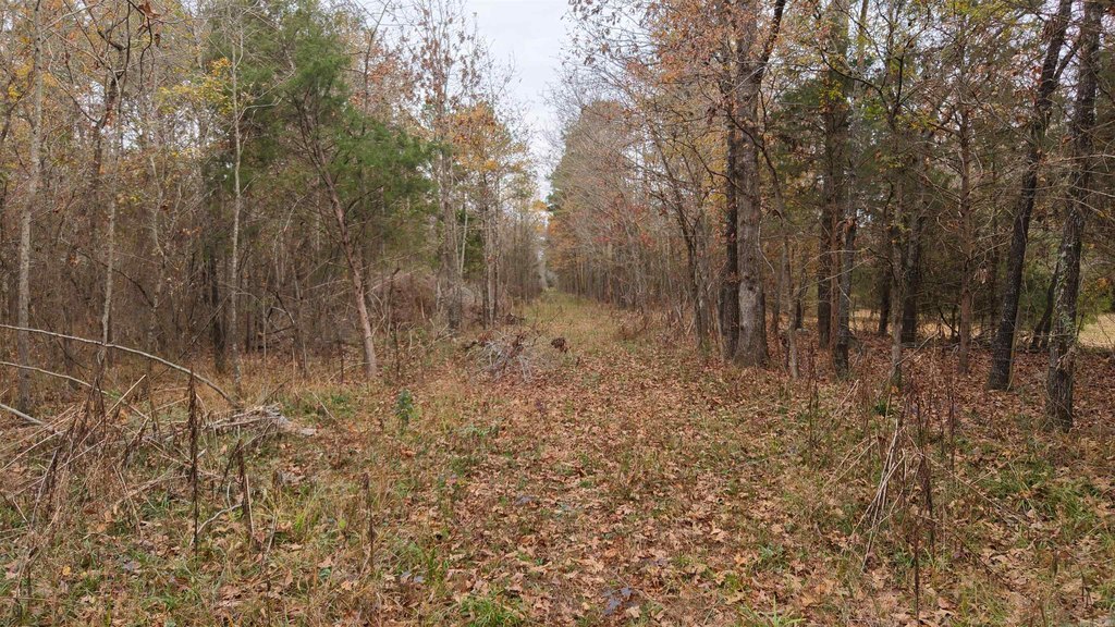 Picture 35