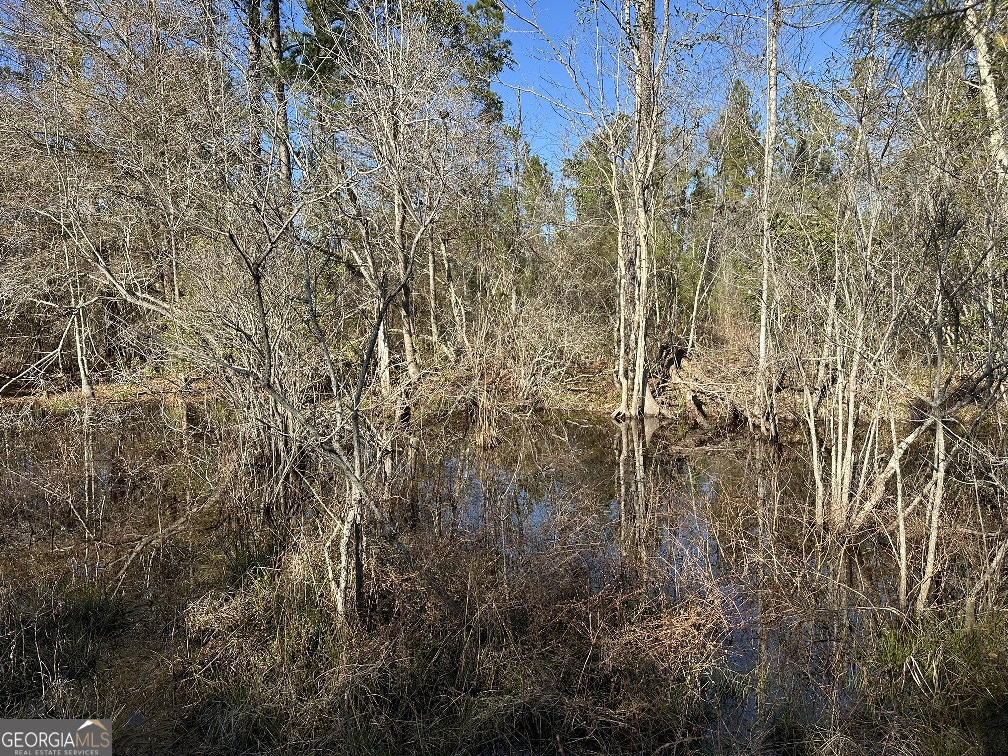 Land with Big Creek Frontage