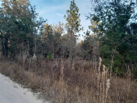 Corner Acreage with A/RR Zoning