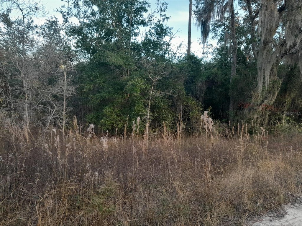 Picture 2