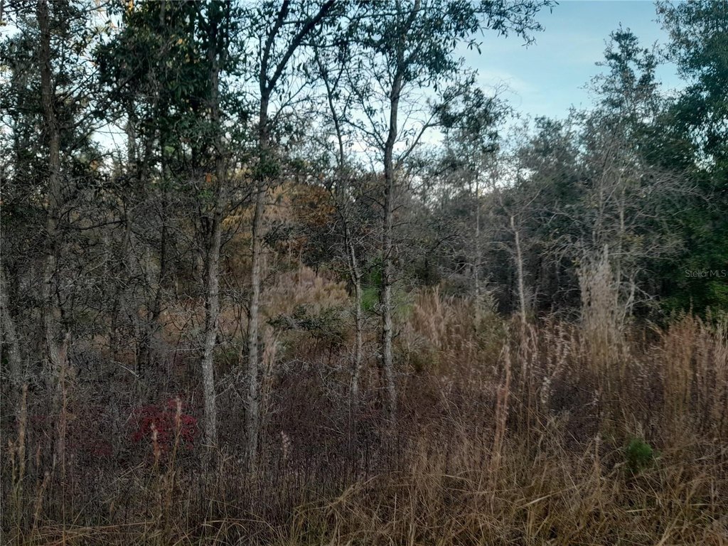 Picture 3
