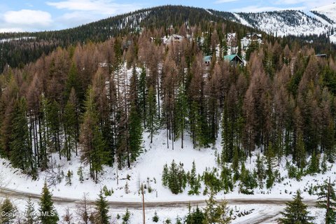 Schweitzer Mountain View Building Lot