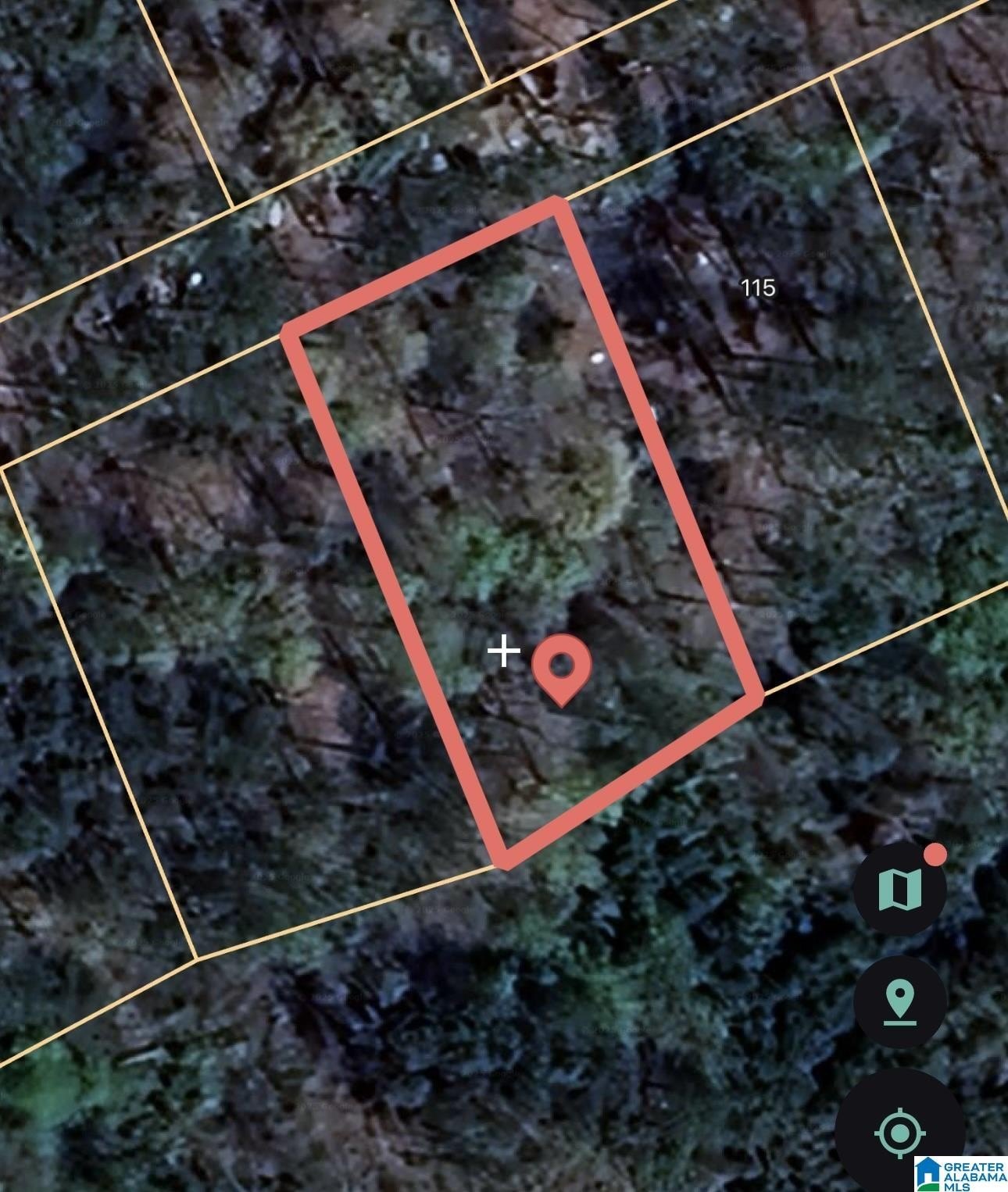 Alpine, AL Treed Lot