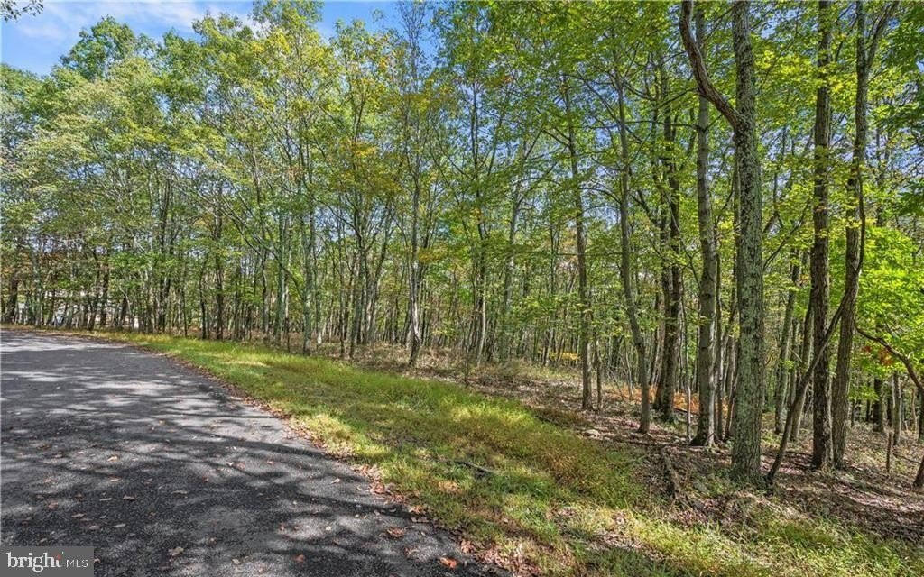 Albrightsville Wooded Residential Land