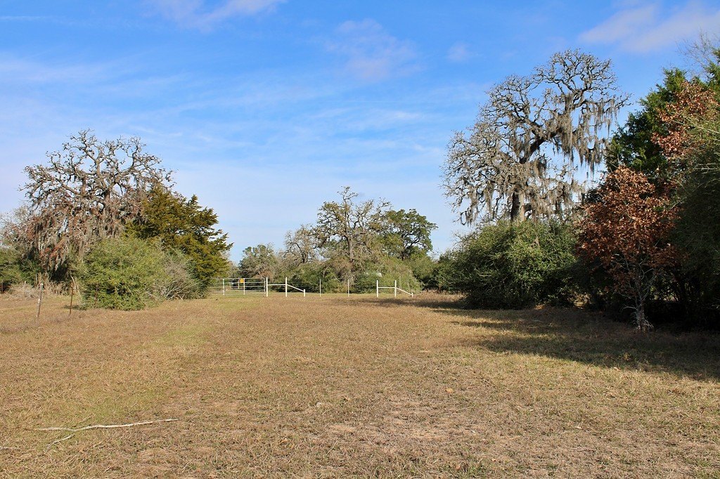 Picture 3
