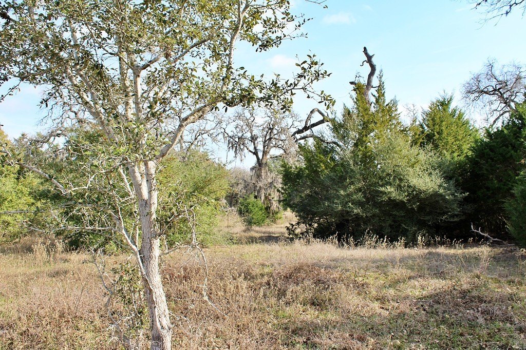 Picture 5