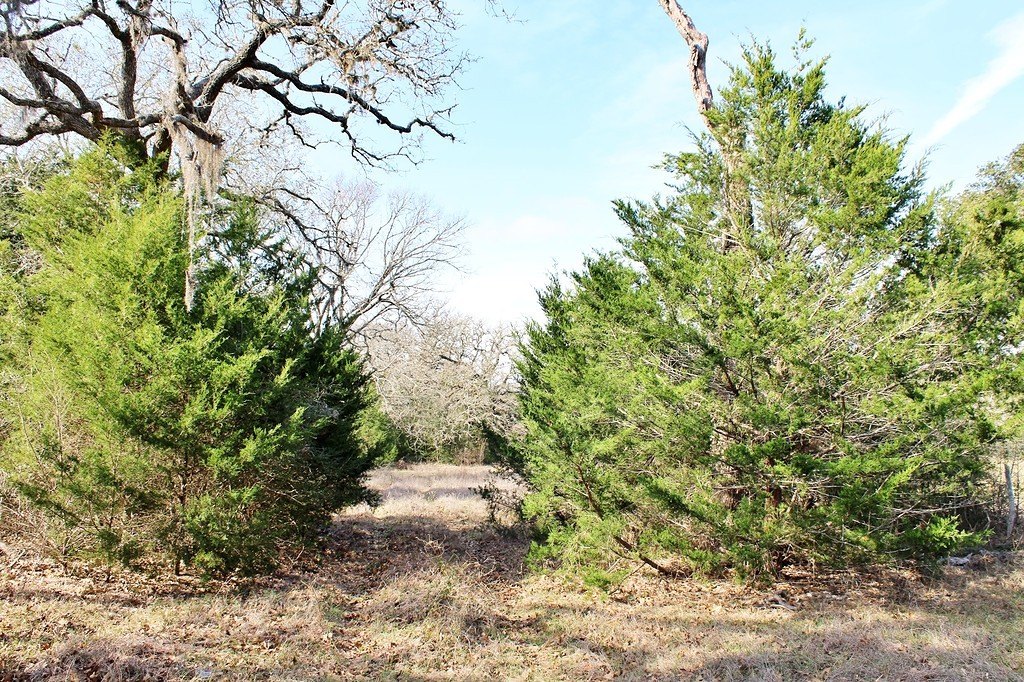 Picture 7