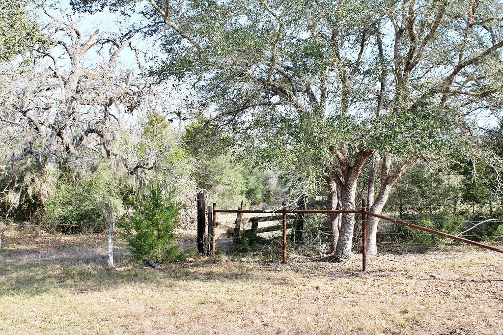Picture 9