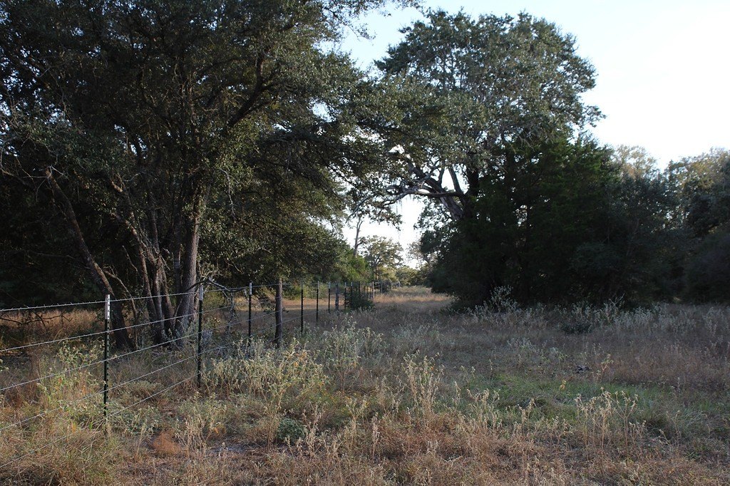 Picture 11